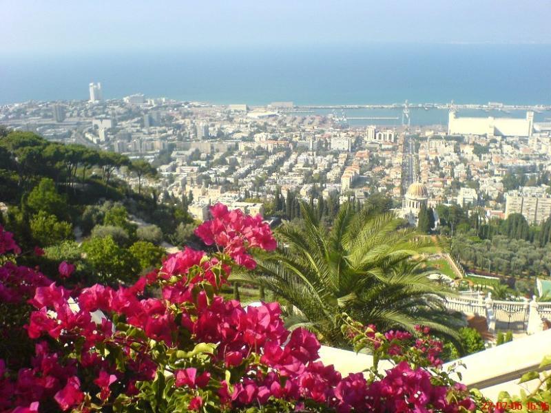 شقة Stella Maris Hosting حيفا المظهر الخارجي الصورة